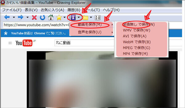 Craving Explorerで動画をダウンロード